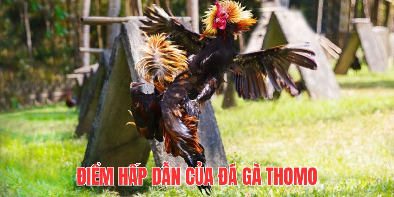 Loại hình giải trí hấp dẫn với nội dung sát phạt khó đoán kết quả